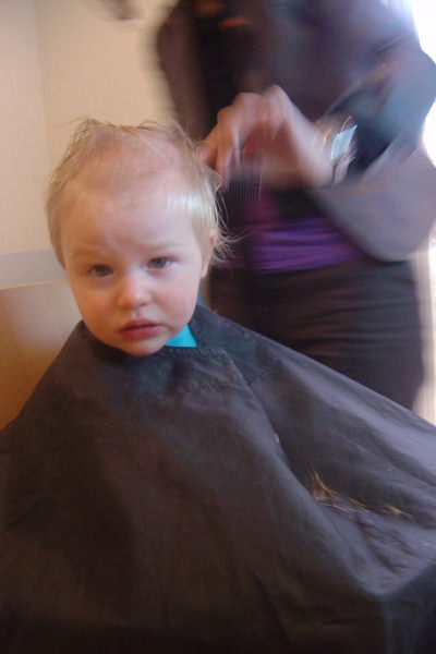 Image 54 of 68  -  32 kB